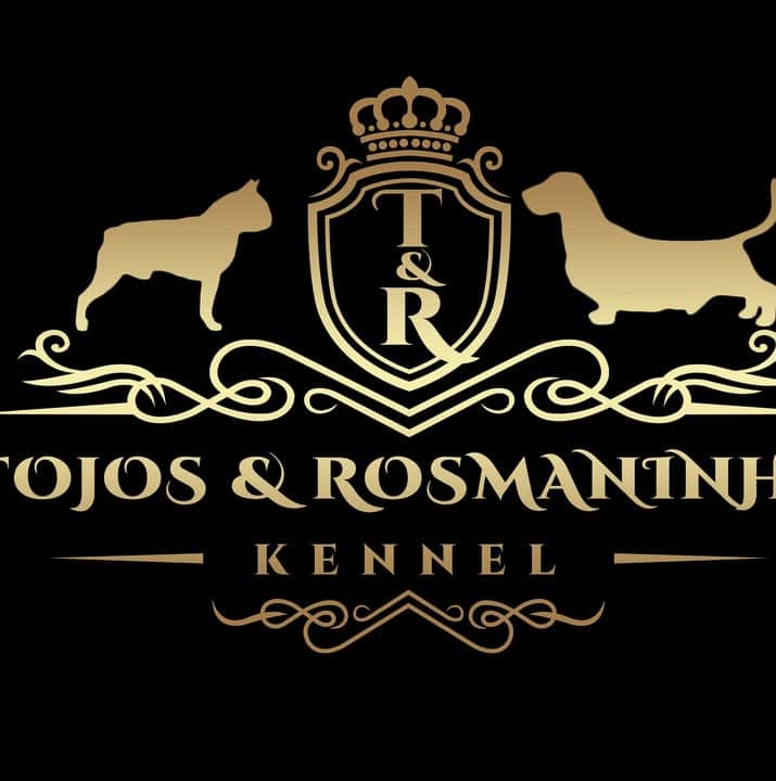 Logótipo de Tojos e Rosmaninhos Kennel
