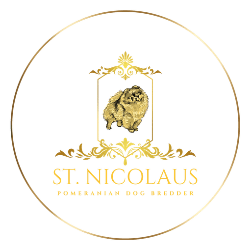 Logótipo de St. Nicolaus Pomeranian