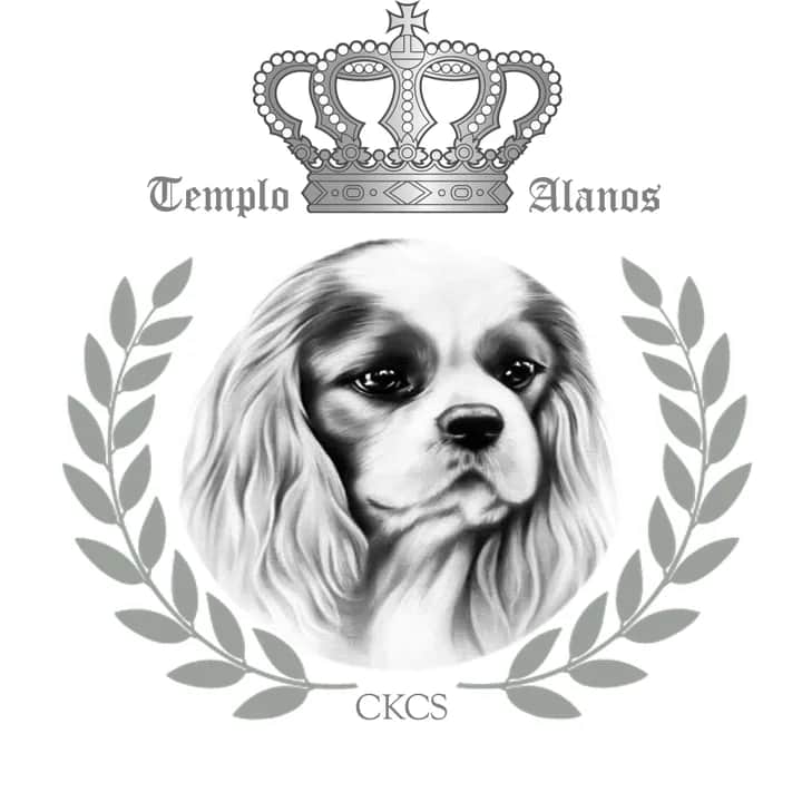 Logótipo de Templo d'Alanos