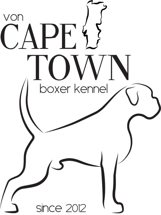 Logótipo de Cape Town