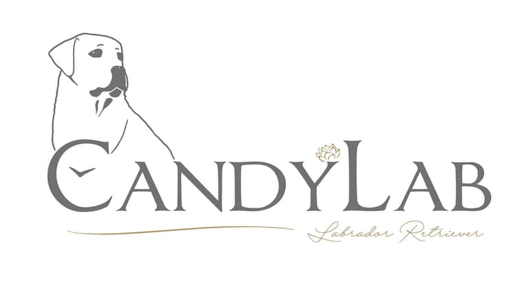 Logótipo de CandyLab