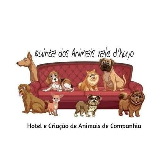 Quinta Vale D'Huyo logo
