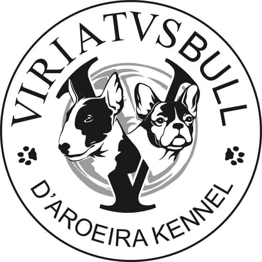 Logótipo de Viriatusbull