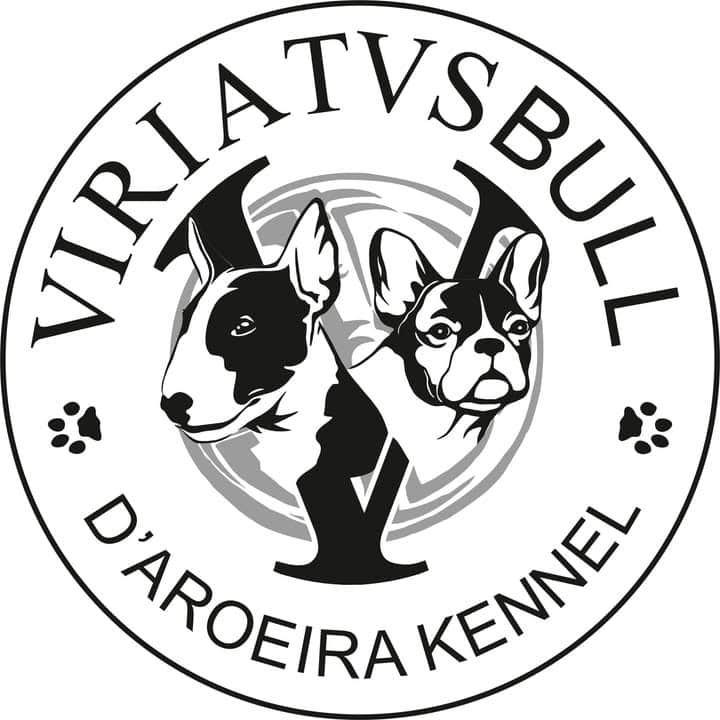 Logótipo de Viriatusbull