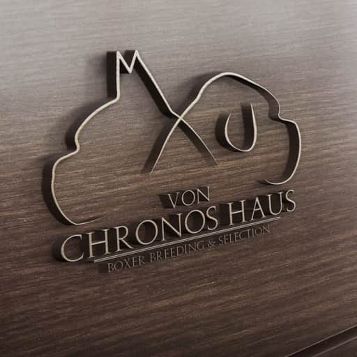 Logótipo de von Chronos Haus