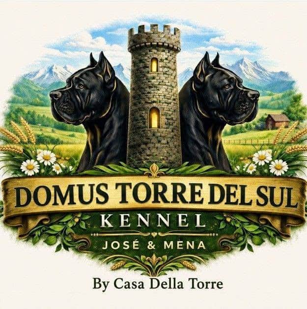 Logótipo de Casa Della Torre