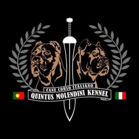 Logótipo de Quintus Molendini Kennel