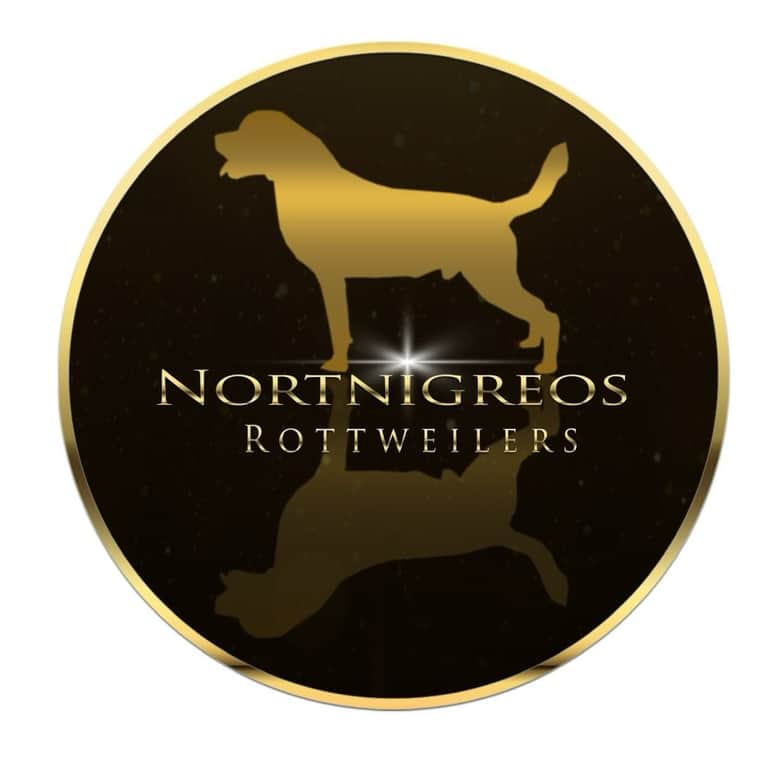 Logótipo de Rottweiler Nortnigreos
