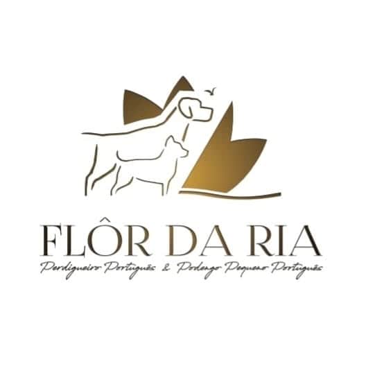 Logótipo de Flor da Ria