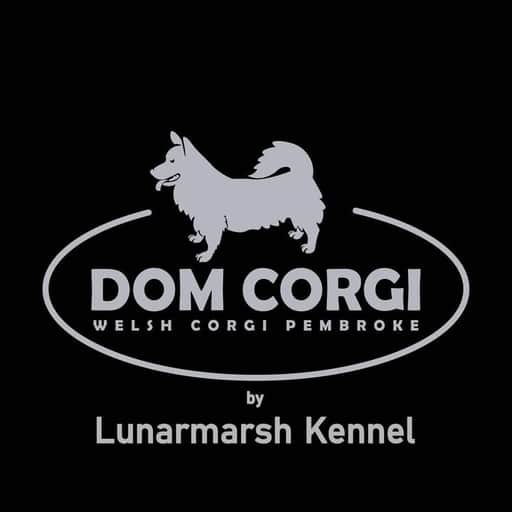 Dom Corgi logo