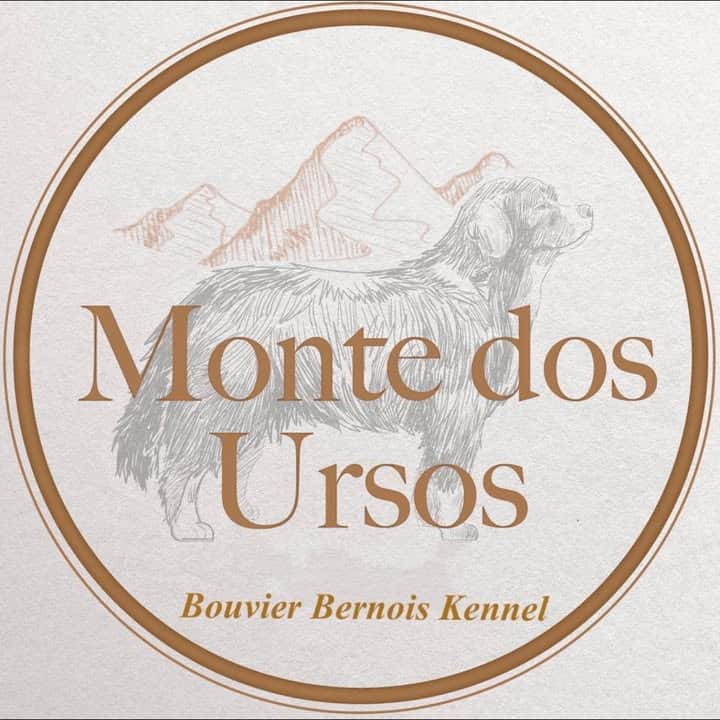 Logótipo de Monte dos Ursos