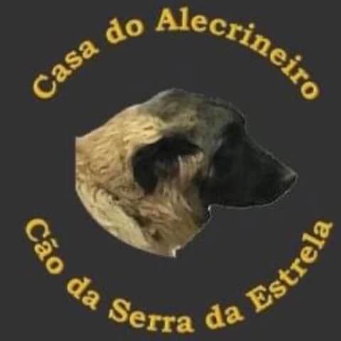 Logótipo de Casa do Alecrineiro