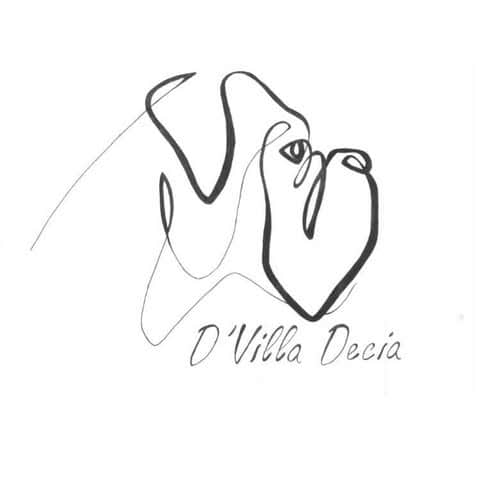 Logótipo de D'Villa Decia