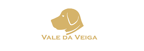 Logótipo de Vale da Veiga Labs
