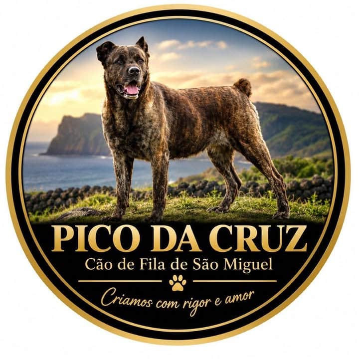 Logótipo de Pico da Cruz