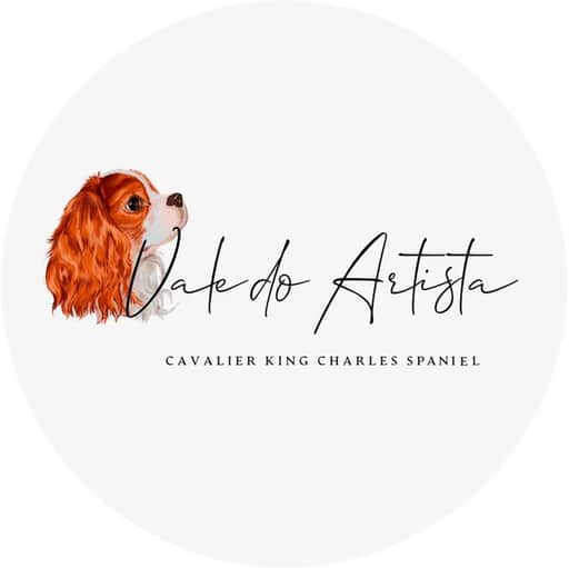 Logótipo de Vale do Artista