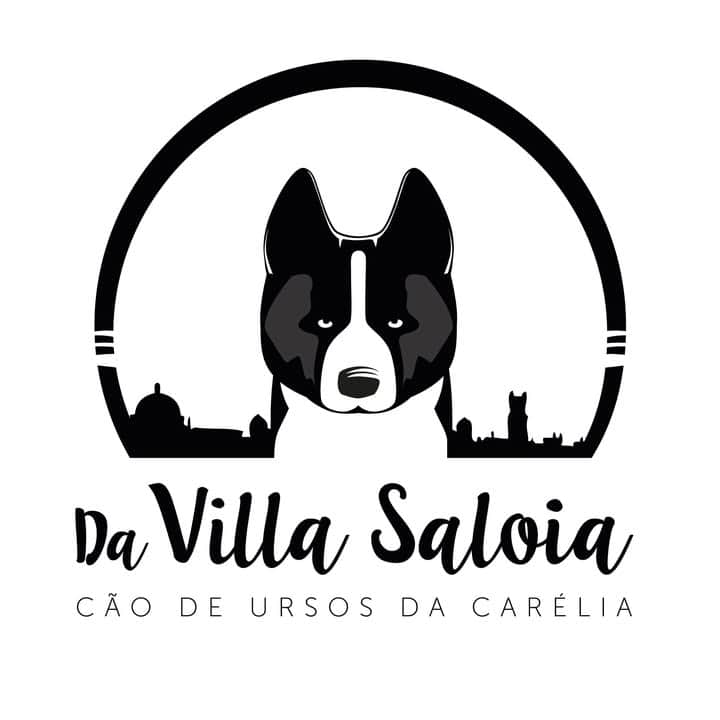 Logótipo de Villa Saloia