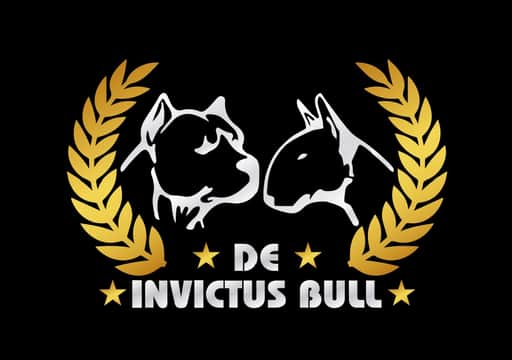 Logótipo de Invictus Bull