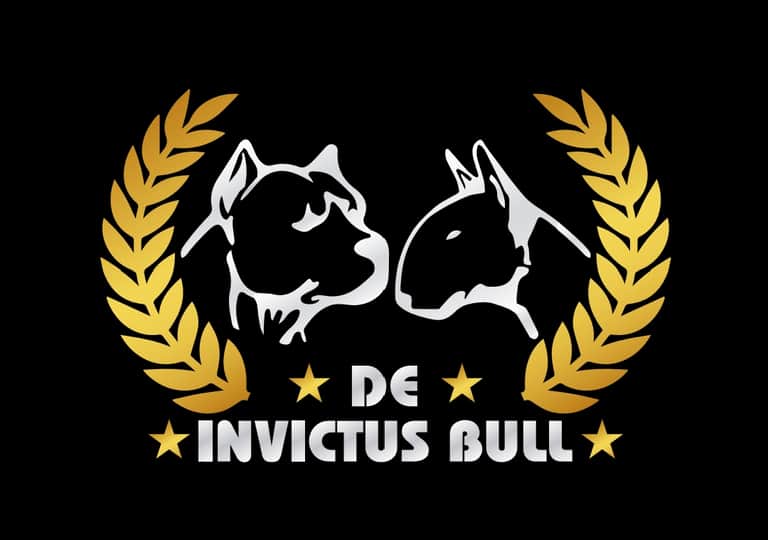 Logótipo de Invictus Bull