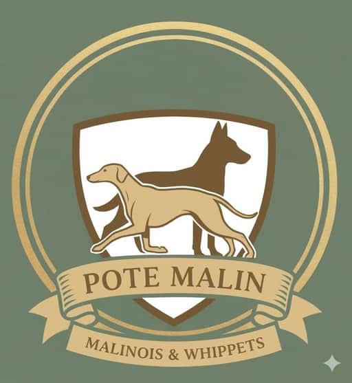 Logótipo de Pote Malin