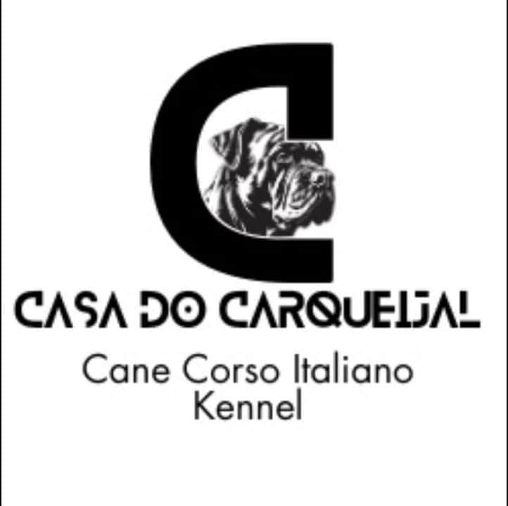 Logótipo de Casa do Carqueijal