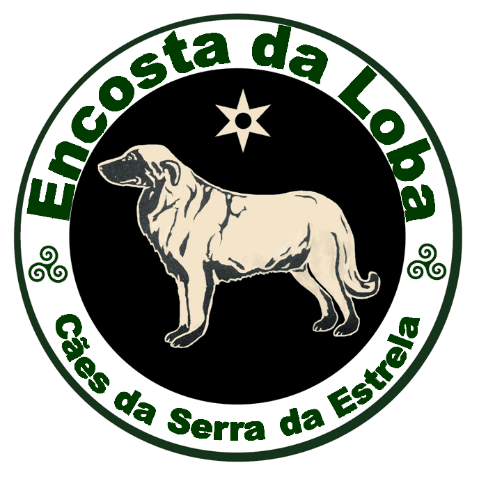 Logótipo de Encosta da Loba
