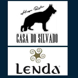 Logótipo de Casa do Silvado