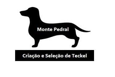 Logótipo de Monte Pedral