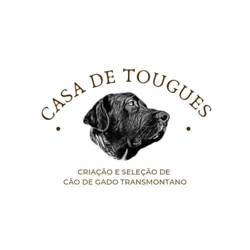 Logótipo de Casa de Tougues