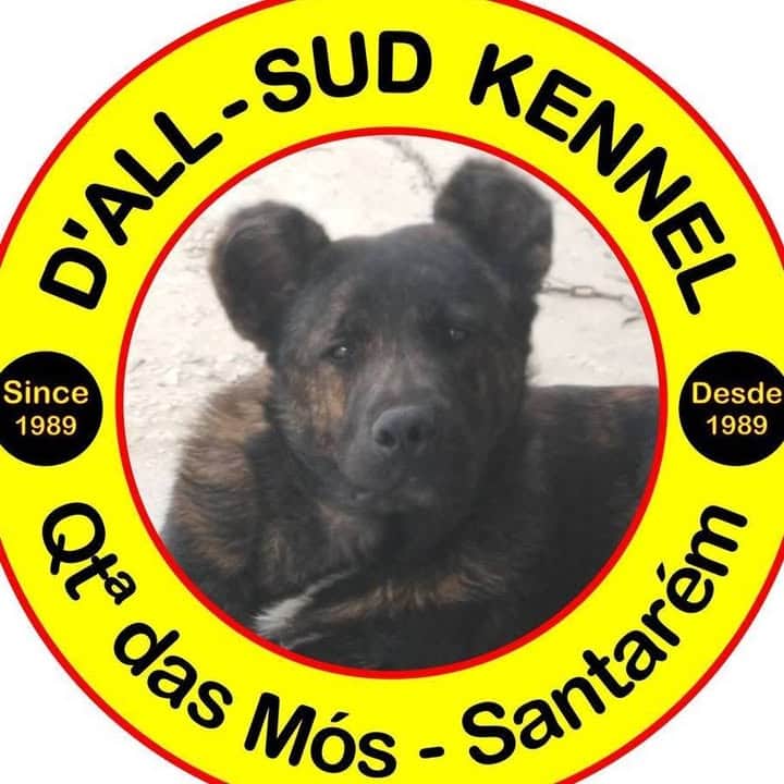 Logótipo de D'All Sud Kennel