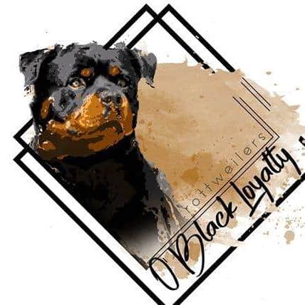 Logótipo de Rottweilers O'Black Loyalty