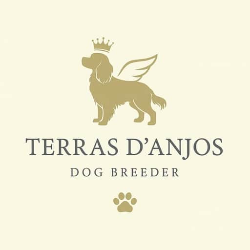 Logótipo de Terras d'Anjos