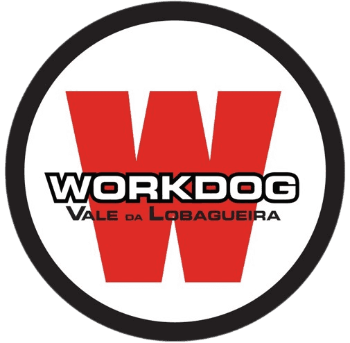 Do Vale da Lobagueira logo