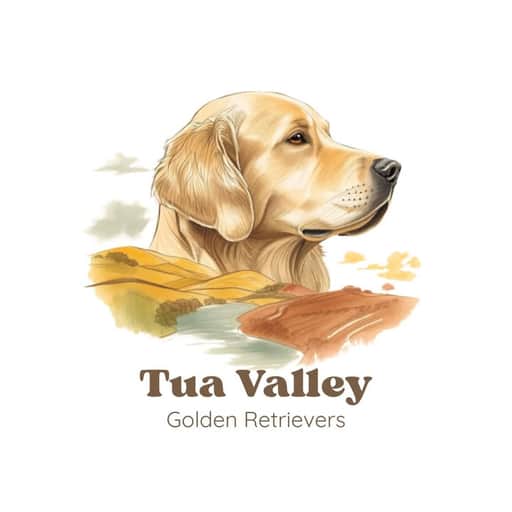 Logótipo de Tua Valley Golden Retrievers