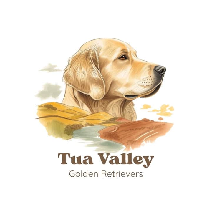 Logótipo de Tua Valley Golden Retrievers