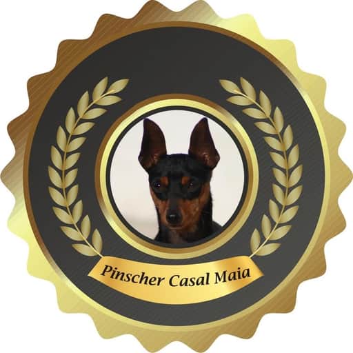 Pinscher Casal Maia logo