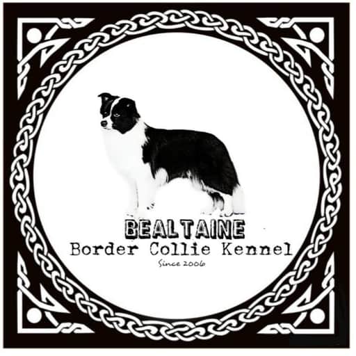 Logótipo de BEALTAINE
