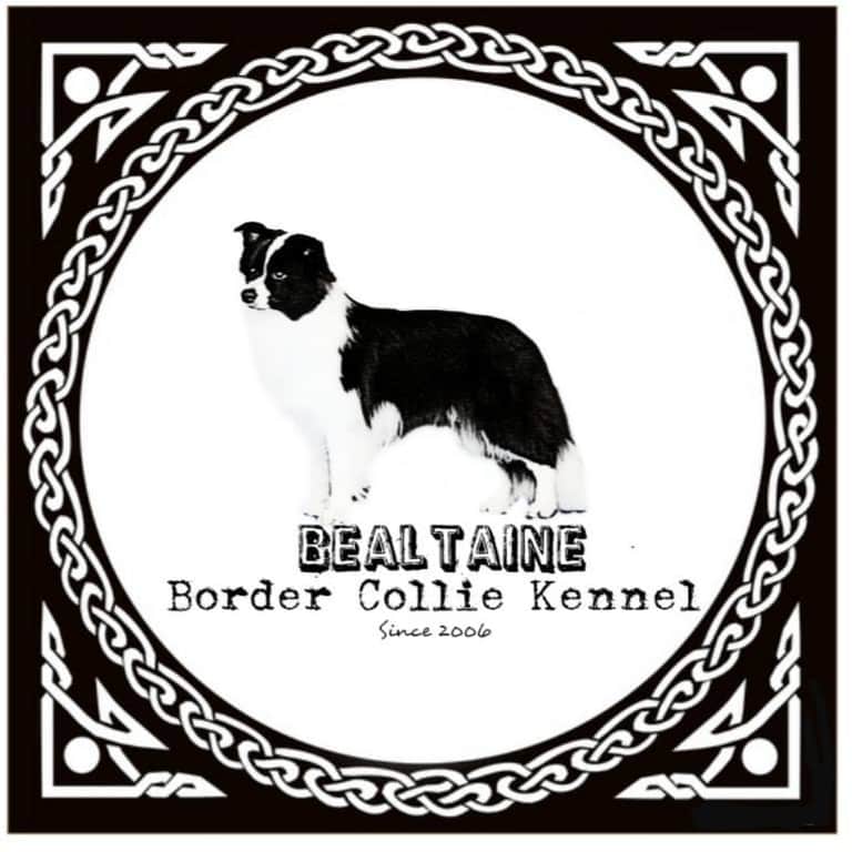 Logótipo de BEALTAINE