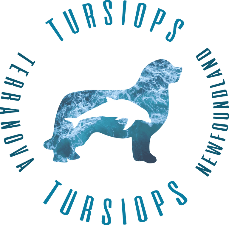 Logótipo de Tursiops TerraNova Newfoundland