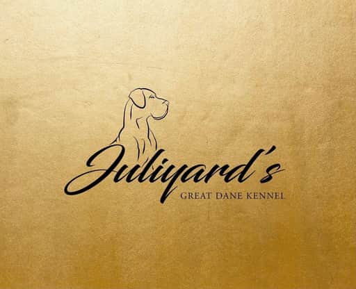 Juliyard's galeria