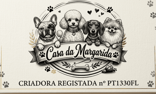 Fotografia de Casa da Margarida