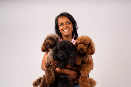 Fotografia de Home of Poodle Dream