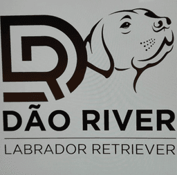 Dão River