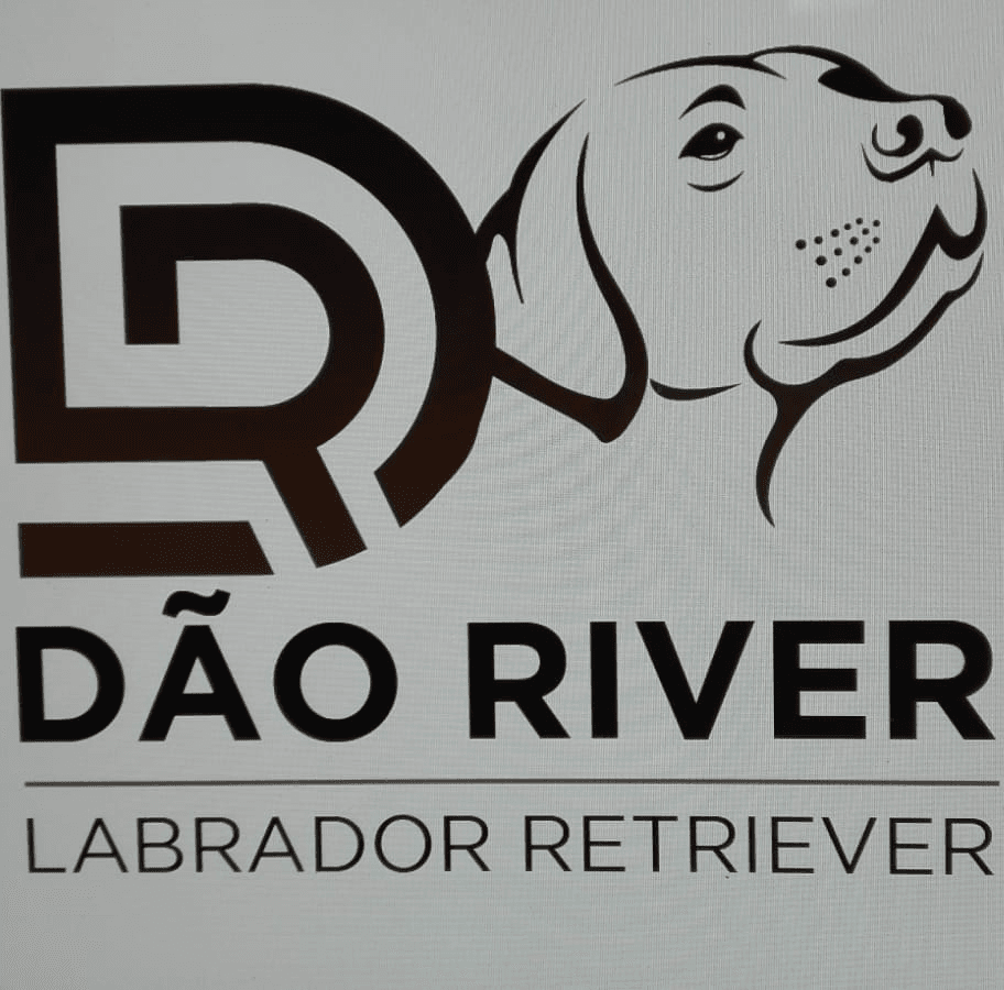 Dão River logo