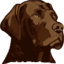 Lar do Labrador logo