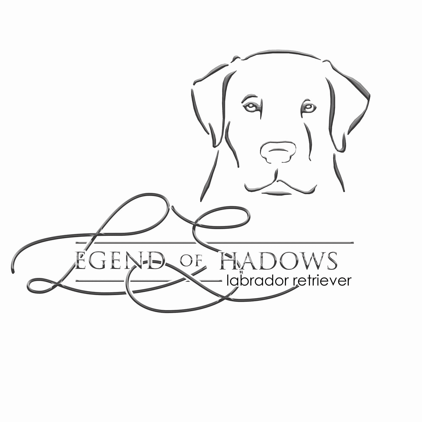 Legend of Shadows logo