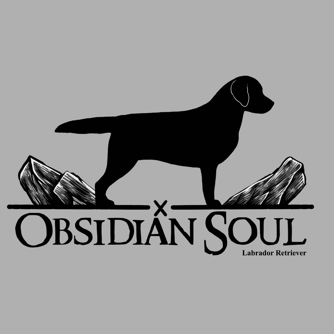 Obsidian Soul logo