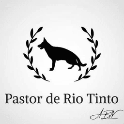 Pastor de Rio Tinto - Casa Camões