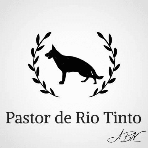 Pastor de Rio Tinto - Casa Camões logo