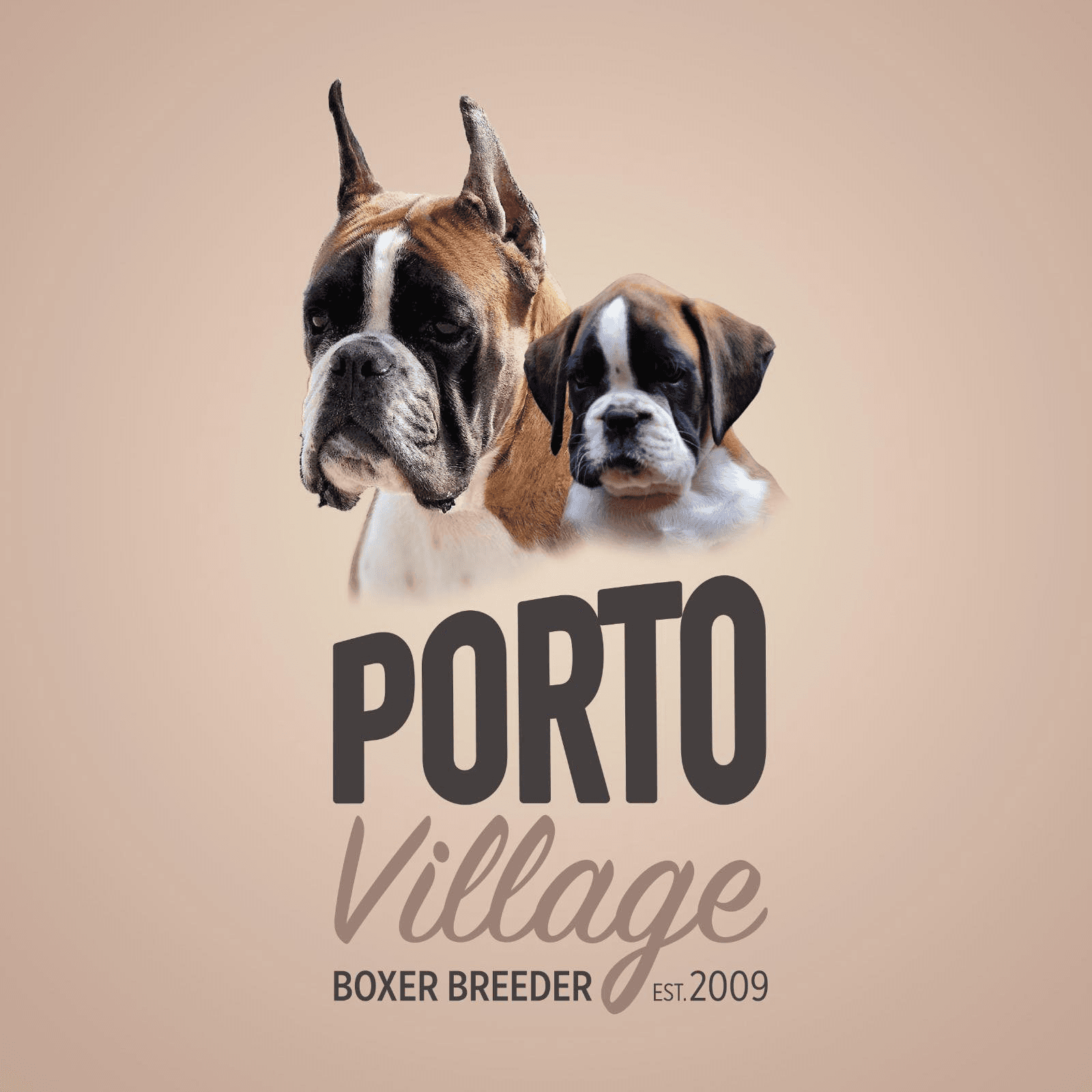 Porto Village Boxers logo